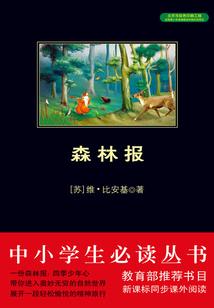 我的项链有舰队