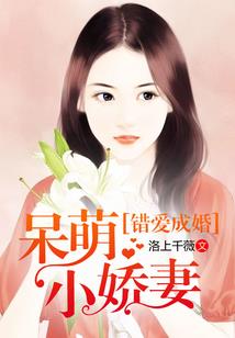 毒医王妃有系统