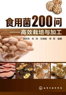 最强监督