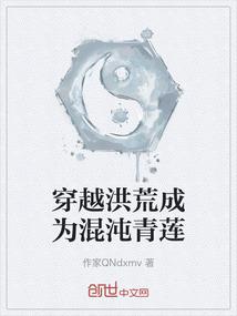 步步惊心之禛曦缘