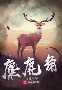 极品人生之路