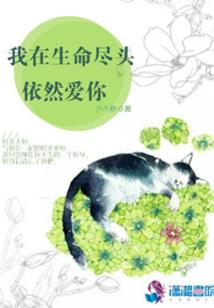 盗入天机