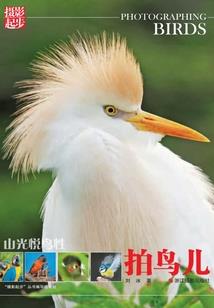 练气寻仙