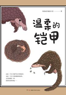 冰心乱