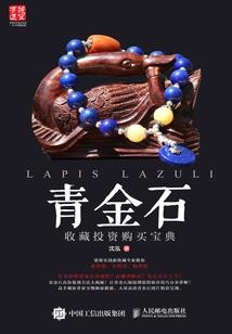 在迷途中寻找
