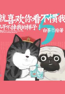 史蒂夫和僵尸的世界