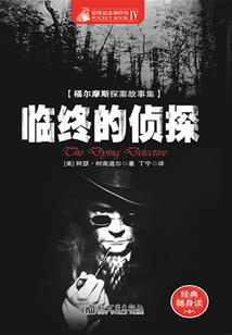 功夫替身爱上病号公主