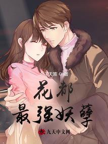 电盲小姐科技男