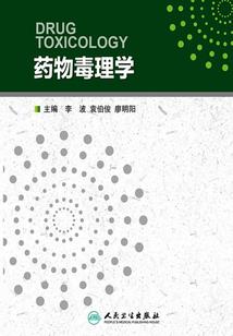 大懿微熹传