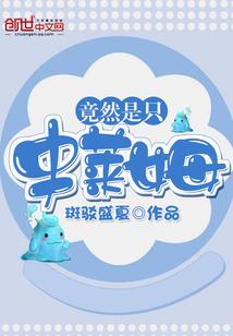 穿越之霸道王爷赖上我