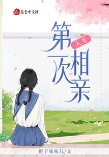 奋斗在残明(合作)