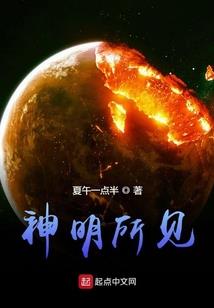 傲娇小狐狸：冷面王爷不好惹