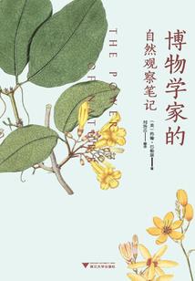诸天秩序