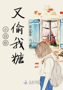 龙城少帅