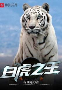 王者荣耀之奇迹战神