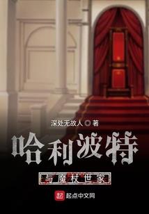 窥晓天机