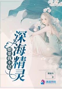 布网