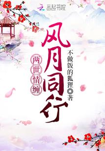 现代白话红楼梦