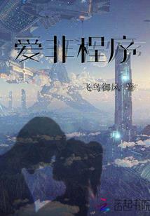 盗天书