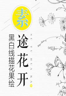 夫人不要再嫁了