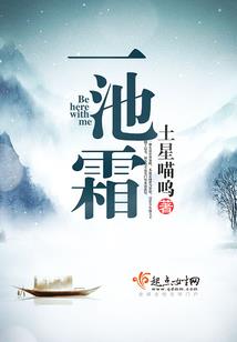 口袋妖怪之踏上旅途