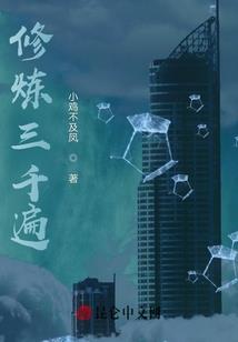 追寻奥奇斯之奥奇石