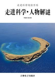 乱魔风暴