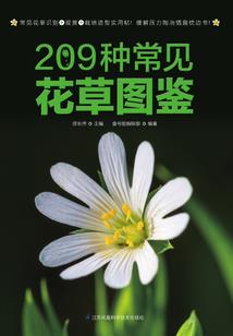 一直在等着
