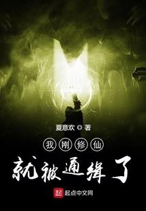 史上最蠢妃
