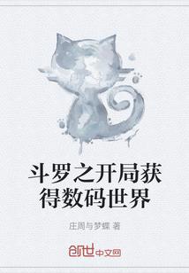 罗茵战录