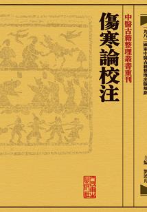 坠羽传