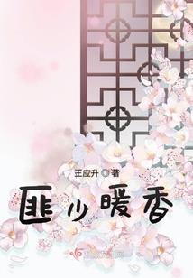 夜来风兮，踏雪而归