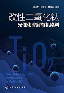 失忆小甜心：萌妻慢慢宠