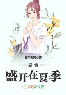 英雄联盟之黑暗流浪者