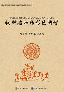 帝临宇内