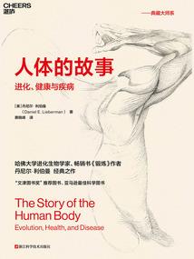 阴阳算
