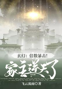 诸葛后传