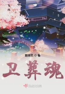 飞燕护国