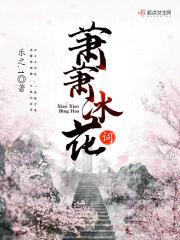 龙珠之孙悟饭
