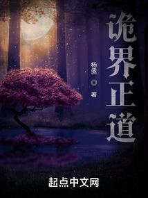 召唤大陆的少年