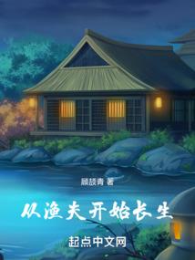 神奇宝贝之飞龙在天