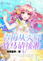 陨星之路