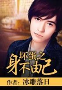 雷少追妻