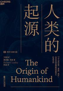 蛮横魔法师