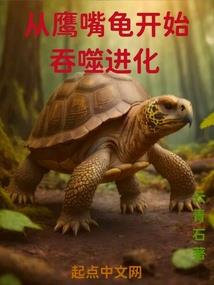 残破的碎片