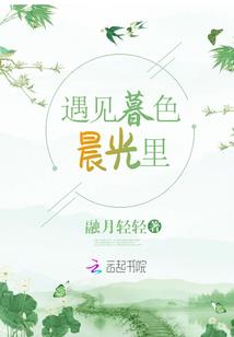 你是我遇见过最美的流星