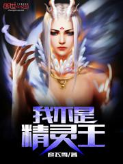 查理九世之神秘的新大陆