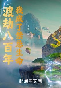 精灵纪事