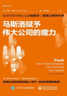 宠物小精灵之殇雪