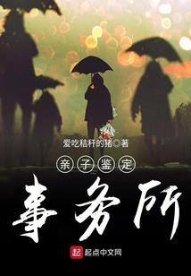 数码宝贝DF续